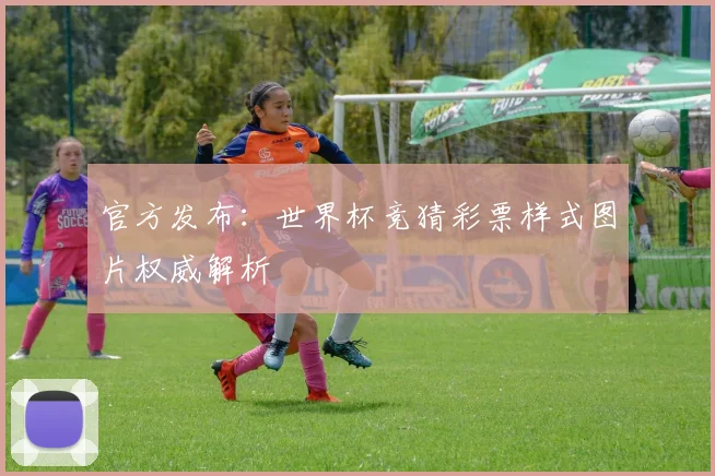 官方发布：世界杯竞猜彩票样式图片权威解析