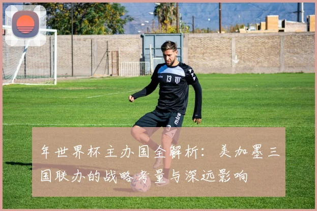 年世界杯主办国全解析：美加墨三国联办的战略考量与深远影响