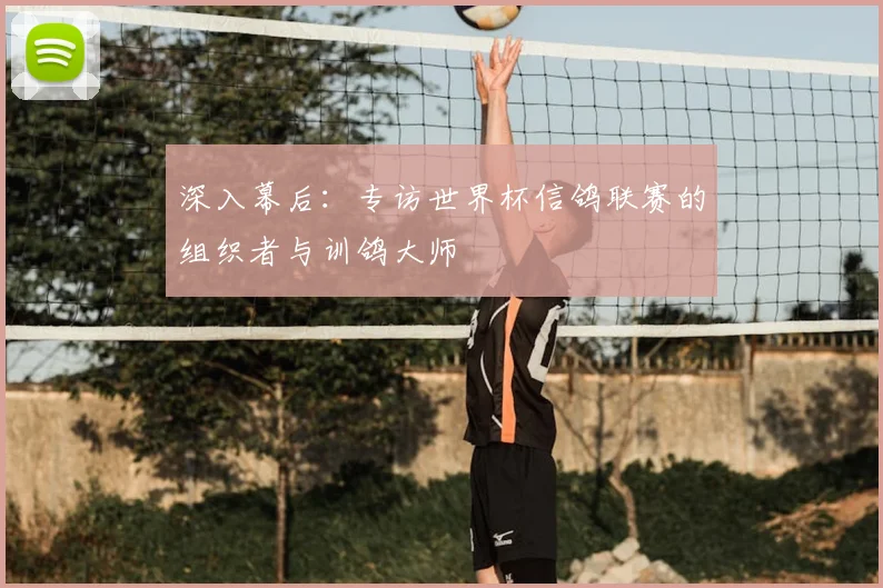 深入幕后:专访世界杯信鸽联赛的组织者与训鸽大师