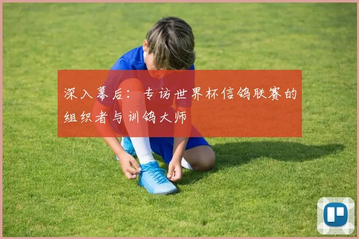 深入幕后:专访世界杯信鸽联赛的组织者与训鸽大师