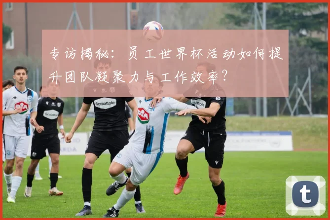 专访揭秘：员工世界杯活动如何提升团队凝聚力与工作效率？